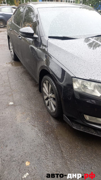 Нажмите для увеличения Skoda