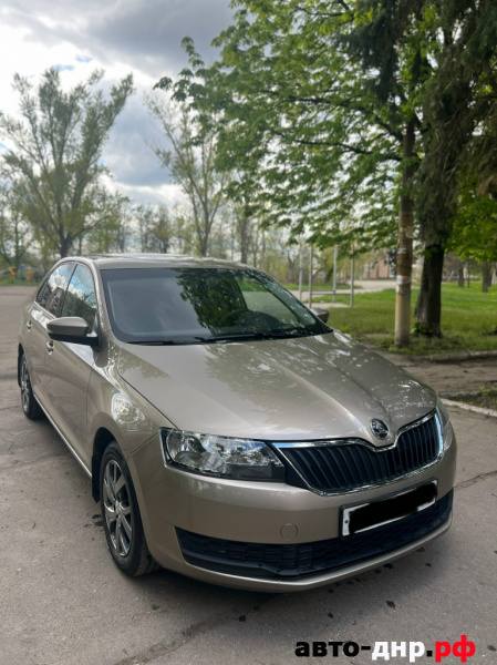 Нажмите для увеличения Skoda