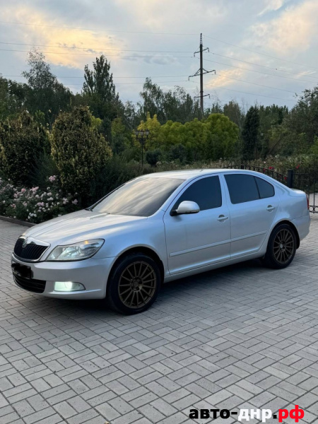 Нажмите для увеличения Skoda
