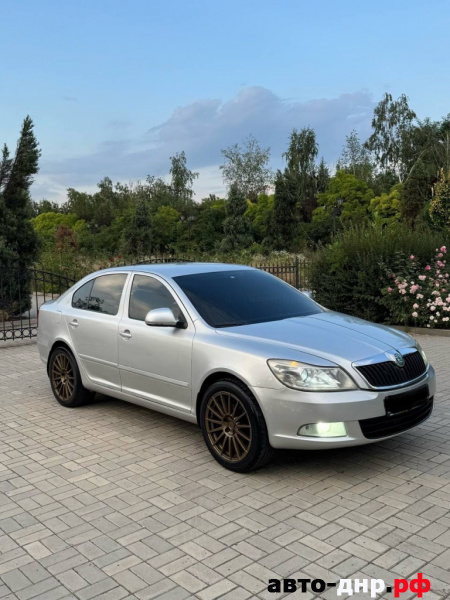 Нажмите для увеличения Skoda